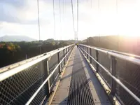 九重“夢”大吊橋の写真・動画_image_284742
