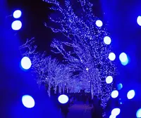 青の洞窟 SHIBUYAの写真・動画_image_286724