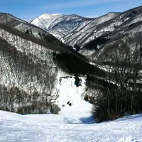 みなかみ町 赤沢スキー場の写真・動画_image_296024
