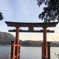 箱根神社の写真・動画_image_297024