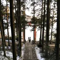 箱根神社の写真・動画_image_297028