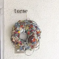 torse （トルス）の写真・動画_image_302800