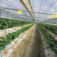 オランダ村の写真・動画_image_302807