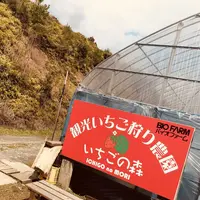 オランダ村の写真・動画_image_302810