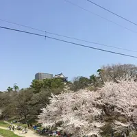 岡崎城の写真・動画_image_307853
