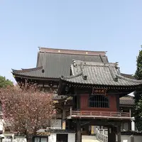 大應寺の写真・動画_image_309132