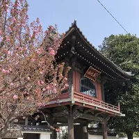 大應寺の写真・動画_image_309133
