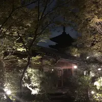 THE SODOH HIGASHIYAMA KYOTO （ザソウドウ）の写真・動画_image_309410