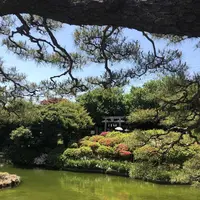 箭弓稲荷神社の写真・動画_image_314591