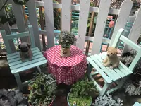 花と泉の公園「れいなｄｅふろーれす」の写真・動画_image_315242