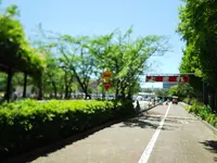 浦安市交通公園の写真・動画_image_316723