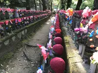 増上寺の写真・動画_image_318291