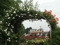 与野公園の写真・動画_image_318582