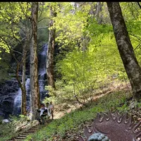 城山史跡の森の写真・動画_image_318787