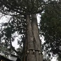 三峯神社の写真・動画_image_318806