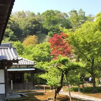 長寿寺の写真・動画_image_318858