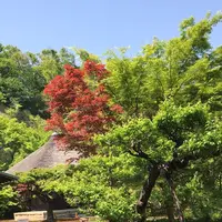 長寿寺の写真・動画_image_318860