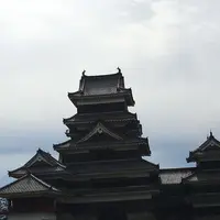 松本城の写真・動画_image_318961