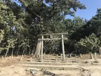 生の松原海岸森林公園の写真・動画_image_319190