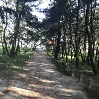 生の松原海岸森林公園の写真・動画_image_319192