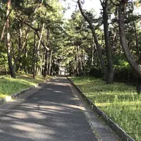 生の松原海岸森林公園の写真・動画_image_319193