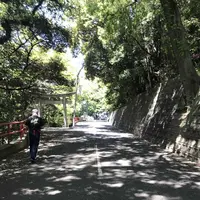 愛宕神社の写真・動画_image_319344
