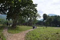 ミーソン聖域の写真・動画_image_319942