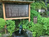箱根湯本温泉の写真・動画_image_320015