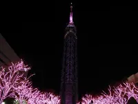 福岡タワーの写真・動画_image_320381