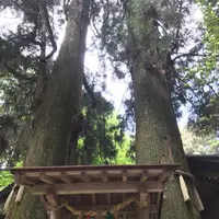 高千穂神社の写真・動画_image_320477