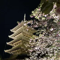 東寺 五重塔の写真・動画_image_320678