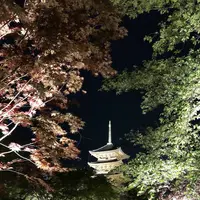 東寺 五重塔の写真・動画_image_320679