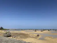 佐和田の浜の写真・動画_image_320701