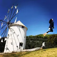 オリーブ公園 ギリシャ風車の写真・動画_image_320971