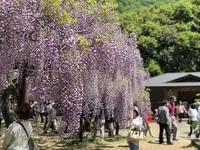 和気町歴史民俗資料館の写真・動画_image_321125
