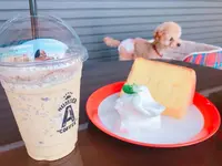 Number A coffeeの写真・動画_image_322063