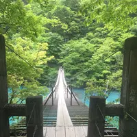 夢の吊橋の写真・動画_image_322286