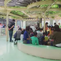 行船公園の写真・動画_image_323114
