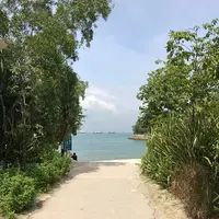 Merlionの写真・動画_image_323194