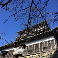 丸岡城の写真・動画_image_323218