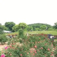 花フェスタ記念公園の写真・動画_image_325153
