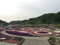 花フェスタ記念公園の写真・動画_image_325156