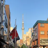 東京スカイツリーの写真・動画_image_326291