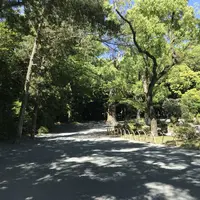 宗像大社の写真・動画_image_327600