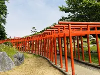 高山稲荷神社の写真・動画_image_333304
