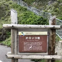 オロンコ岩の写真・動画_image_339245