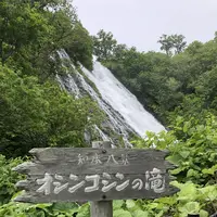 オシンコシンの滝の写真・動画_image_339300