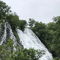 オシンコシンの滝の写真・動画_image_339301