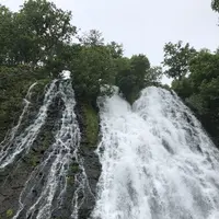 オシンコシンの滝の写真・動画_image_339302