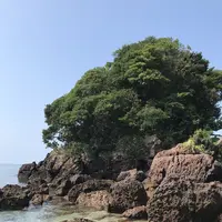 荒平天神の写真・動画_image_408041